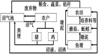三大生态系统
