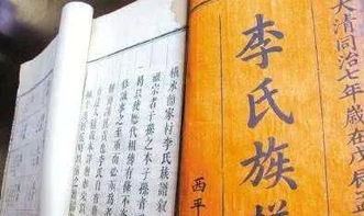 李姓的由来
