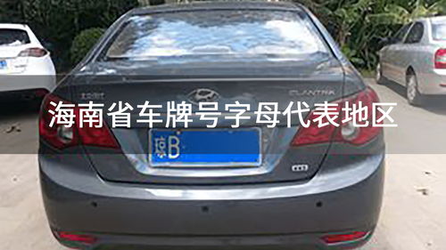 山东车牌号字母排序
