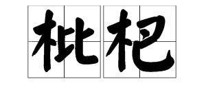 枇杷怎么读音
