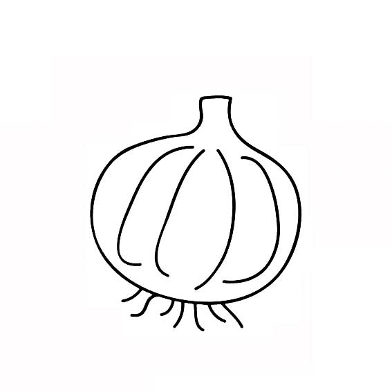 大蒜怎么画

