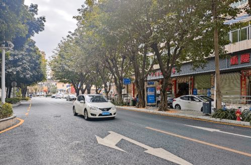 观澜街道
