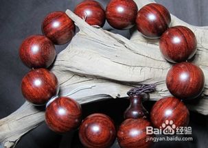 小叶紫檀养殖
