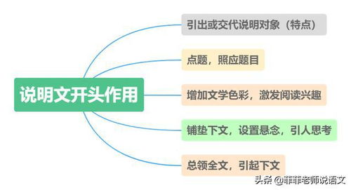 说明文开头的作用,详细的,谢谢~