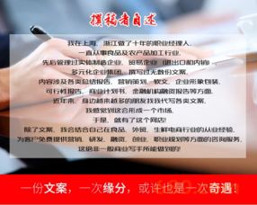 商业计划书代写
