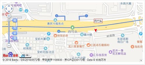 丹竹头地铁站
