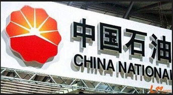中石油上市
