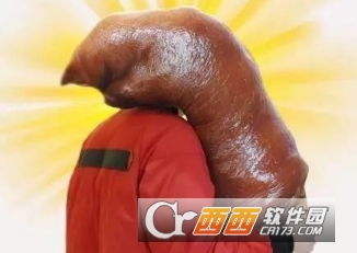 什么是大猪蹄子