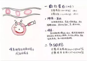 "血"字到底应该怎么读