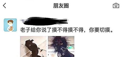 第一个发明电的人是谁?