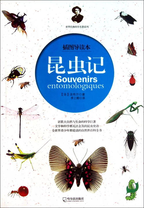 昆虫记简介与主要内容
