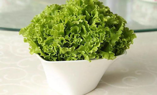 生菜种子的种植方法