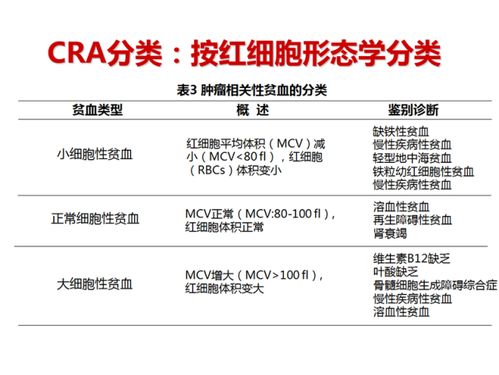 贫血分级
