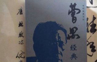 雷雨的作者
