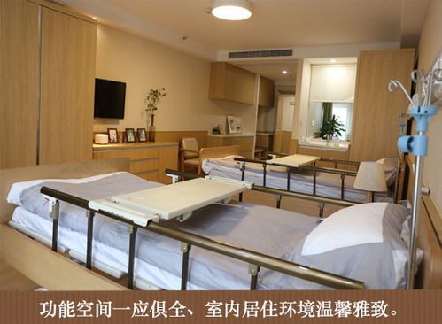 老年公寓养老院多少钱
