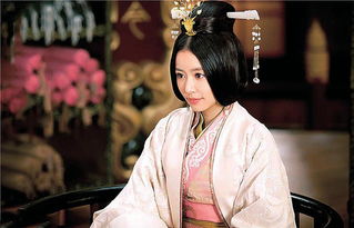 为什么说娶妻当得阴丽华?