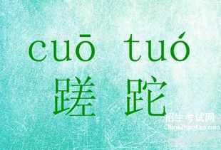 蹉跎什么意思