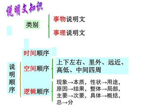 说明文开头的作用
