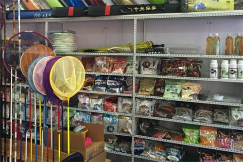 一般投资多少钱就能开个渔具店?