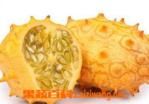 火参果的功效与作用
