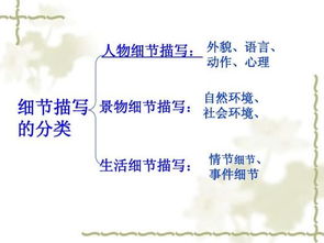 什么是细节描写

