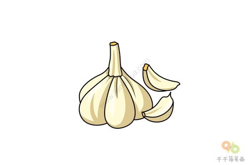 素描入门:素描蒜头怎么画