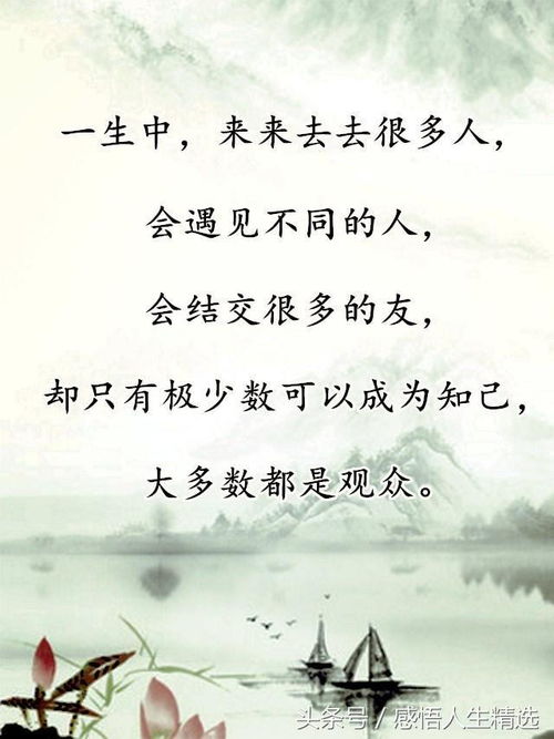 什么是知己
