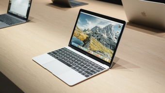macbook录屏
