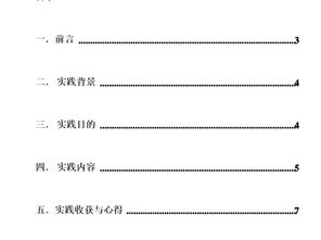 社会实践内容简述

