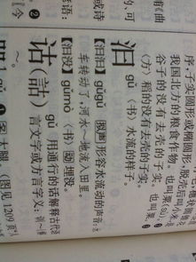 汩的拼音
