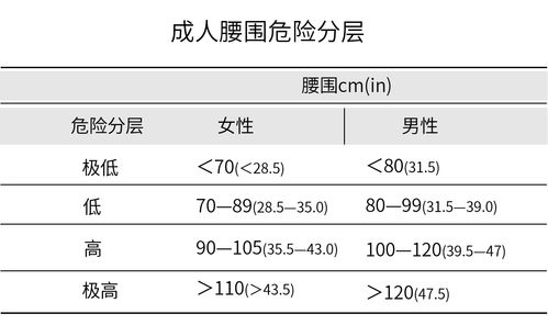 体脂率计算公式
