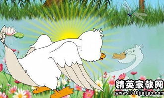 丑小鸭读后感20字
