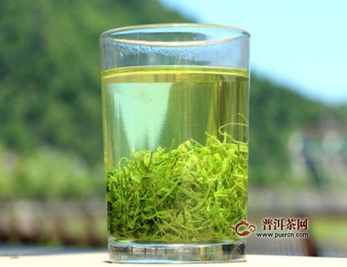 绞股蓝泡水喝的功效和副作用
