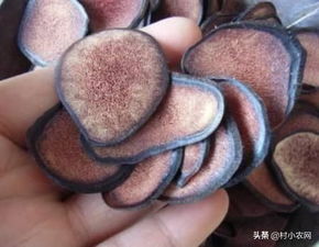 鹿茸适合哪些人吃
