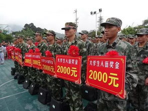 专科当兵回来能直接升本吗
