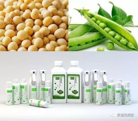 生物酶是什么东西
