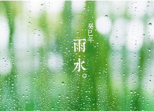 雨水节气有什么风俗