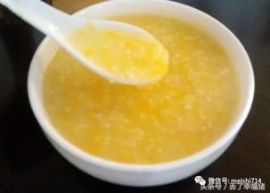 怎样煮小米粥