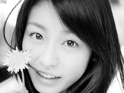 哪首歌里有这句歌词 你的容颜
