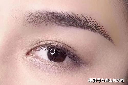 眉毛面相分析