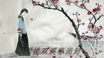 武陵春李清照
