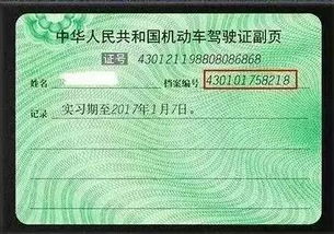 档案编号
