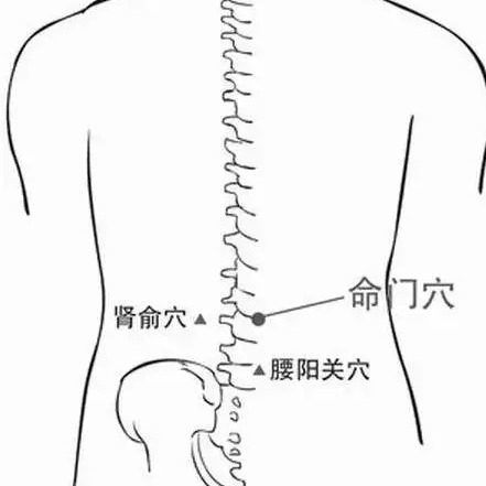 肺俞是yu还是shu?
