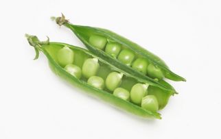 豌豆和荷兰豆的区别
