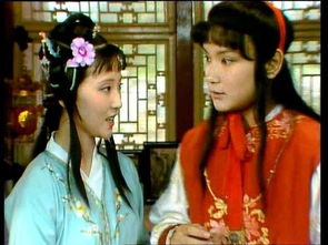 红楼梦里,林黛玉和贾宝玉有没有上过床?
