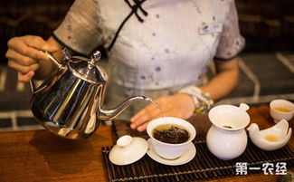 怎么泡茶最正确的方法