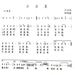 张也的《小白菜》 歌词