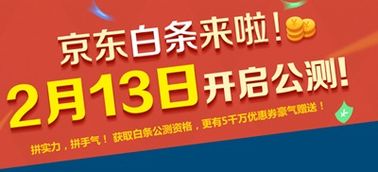 京东白条是什么东西
