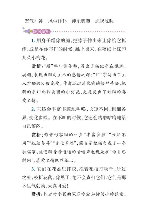 四年级下册语文第五单元作文
