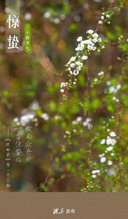春雷响万物长这句谚语是什么意思